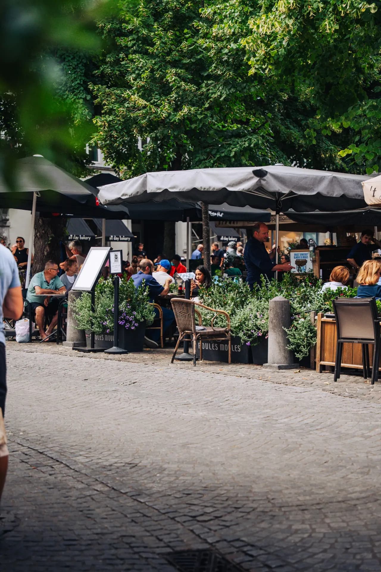Gerecht uit de keuken